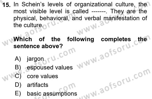 Organization Theory and Design Dersi 2022 - 2023 Yılı Yaz Okulu Sınav Soruları 15. Soru