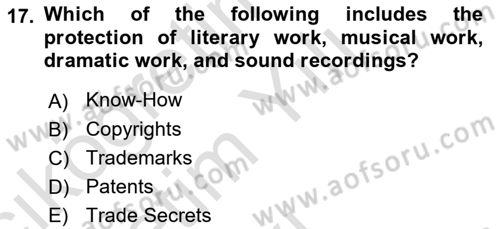 Organization Theory and Design Dersi 2022 - 2023 Yılı Yaz Okulu Sınav Soruları 17. Soru
