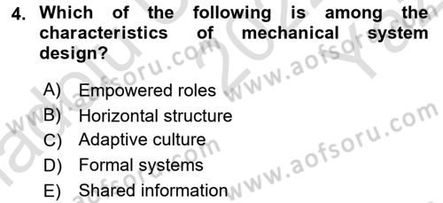 Organization Theory and Design Dersi 2022 - 2023 Yılı Yaz Okulu Sınav Soruları 4. Soru