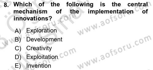 Organization Theory and Design Dersi 2022 - 2023 Yılı Yaz Okulu Sınav Soruları 8. Soru