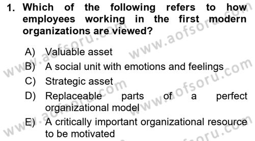 Organization Theory and Design Dersi 2023 - 2024 Yılı (Vize) Ara Sınav Soruları 1. Soru