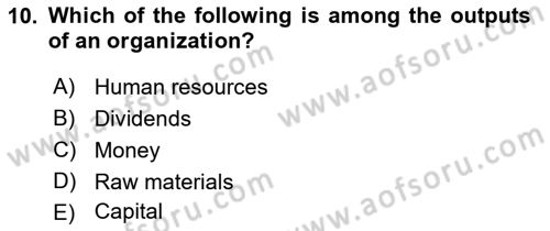 Organization Theory and Design Dersi 2023 - 2024 Yılı (Vize) Ara Sınav Soruları 10. Soru