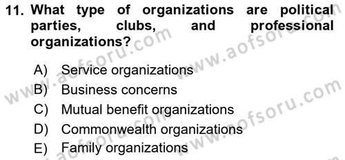 Organization Theory and Design Dersi 2023 - 2024 Yılı (Vize) Ara Sınav Soruları 11. Soru