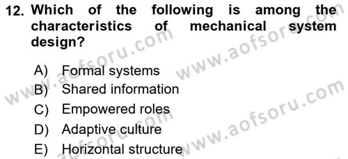 Organization Theory and Design Dersi 2023 - 2024 Yılı (Vize) Ara Sınav Soruları 12. Soru