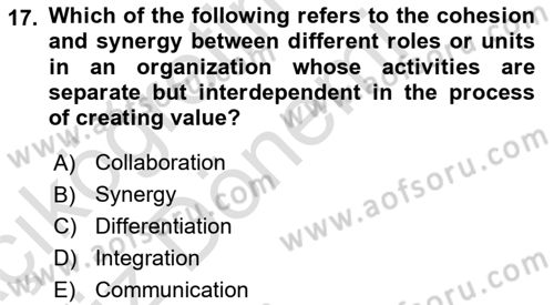 Organization Theory and Design Dersi 2023 - 2024 Yılı (Vize) Ara Sınav Soruları 17. Soru