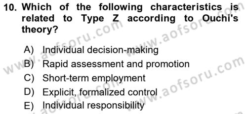 Organization Theory and Design Dersi 2023 - 2024 Yılı (Final) Dönem Sonu Sınav Soruları 10. Soru