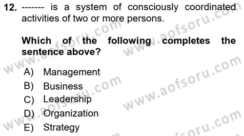 Organization Theory and Design Dersi 2023 - 2024 Yılı (Final) Dönem Sonu Sınav Soruları 12. Soru