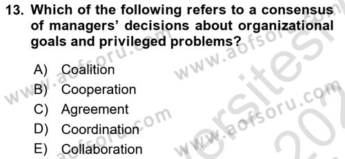 Organization Theory and Design Dersi 2023 - 2024 Yılı (Final) Dönem Sonu Sınav Soruları 13. Soru