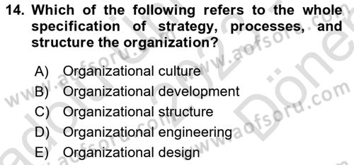 Organization Theory and Design Dersi 2023 - 2024 Yılı (Final) Dönem Sonu Sınav Soruları 14. Soru