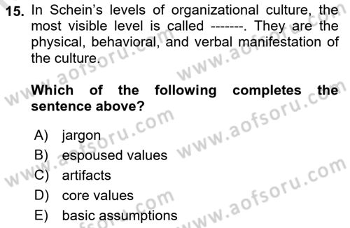 Organization Theory and Design Dersi 2023 - 2024 Yılı (Final) Dönem Sonu Sınav Soruları 15. Soru
