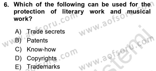 Organization Theory and Design Dersi 2023 - 2024 Yılı (Final) Dönem Sonu Sınav Soruları 6. Soru