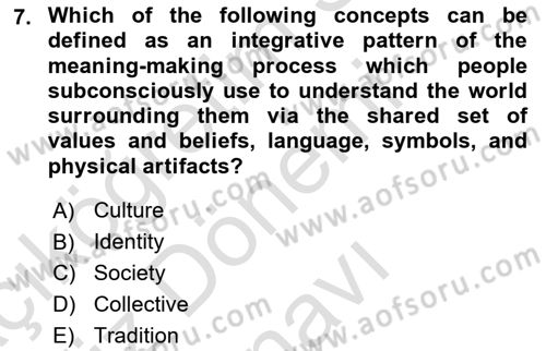 Organization Theory and Design Dersi 2023 - 2024 Yılı (Final) Dönem Sonu Sınav Soruları 7. Soru
