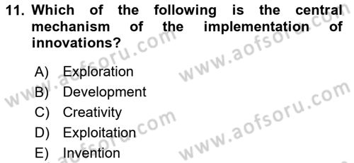 Organization Theory and Design Dersi 2023 - 2024 Yılı Yaz Okulu Sınav Soruları 11. Soru