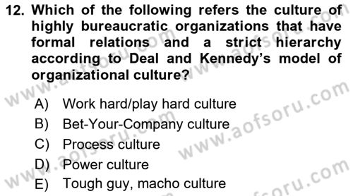 Organization Theory and Design Dersi 2023 - 2024 Yılı Yaz Okulu Sınav Soruları 12. Soru