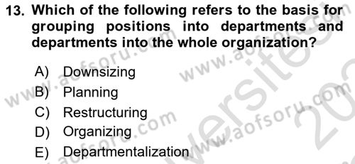 Organization Theory and Design Dersi 2023 - 2024 Yılı Yaz Okulu Sınav Soruları 13. Soru