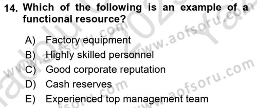 Organization Theory and Design Dersi 2023 - 2024 Yılı Yaz Okulu Sınav Soruları 14. Soru