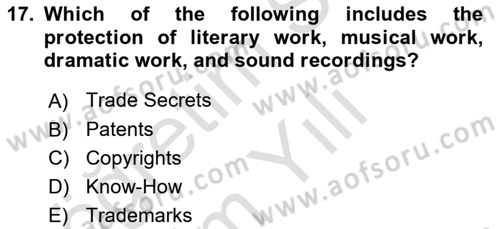 Organization Theory and Design Dersi 2023 - 2024 Yılı Yaz Okulu Sınav Soruları 17. Soru