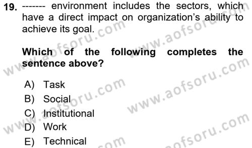 Organization Theory and Design Dersi 2023 - 2024 Yılı Yaz Okulu Sınav Soruları 19. Soru