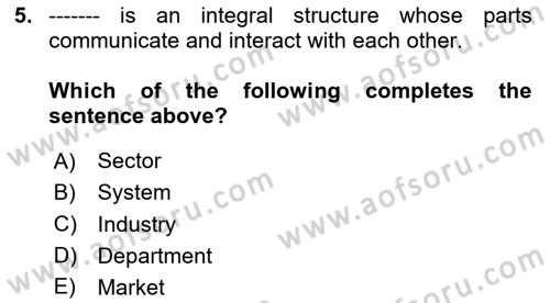 Organization Theory and Design Dersi 2023 - 2024 Yılı Yaz Okulu Sınav Soruları 5. Soru