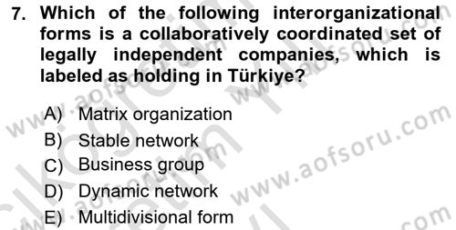 Organization Theory and Design Dersi 2023 - 2024 Yılı Yaz Okulu Sınav Soruları 7. Soru