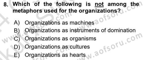 Organization Theory and Design Dersi 2023 - 2024 Yılı Yaz Okulu Sınav Soruları 8. Soru