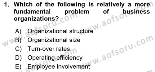 Organization Theory and Design Dersi 2024 - 2025 Yılı (Vize) Ara Sınav Soruları 1. Soru