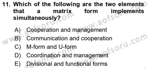 Organization Theory and Design Dersi 2024 - 2025 Yılı (Vize) Ara Sınav Soruları 11. Soru