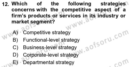 Organization Theory and Design Dersi 2024 - 2025 Yılı (Vize) Ara Sınav Soruları 12. Soru