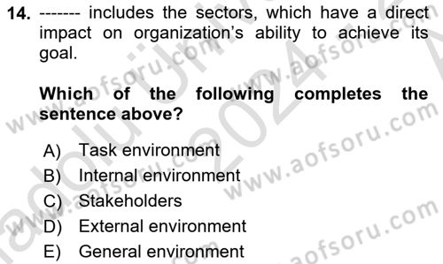 Organization Theory and Design Dersi 2024 - 2025 Yılı (Vize) Ara Sınav Soruları 14. Soru