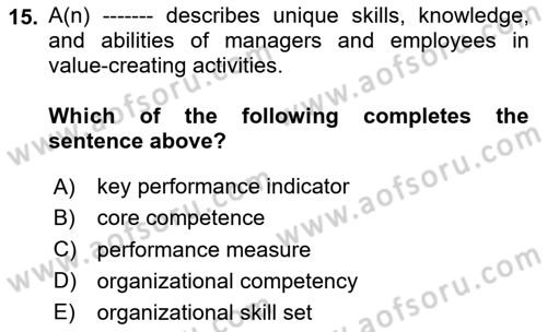 Organization Theory and Design Dersi 2024 - 2025 Yılı (Vize) Ara Sınav Soruları 15. Soru