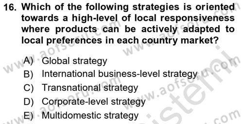 Organization Theory and Design Dersi 2024 - 2025 Yılı (Vize) Ara Sınav Soruları 16. Soru