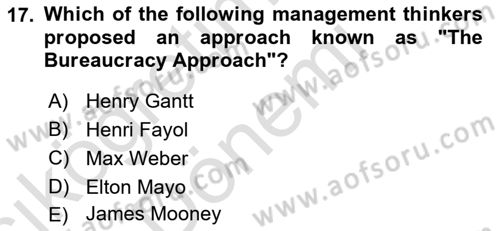 Organization Theory and Design Dersi 2024 - 2025 Yılı (Vize) Ara Sınav Soruları 17. Soru