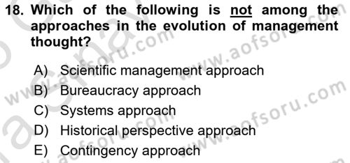 Organization Theory and Design Dersi 2024 - 2025 Yılı (Vize) Ara Sınav Soruları 18. Soru