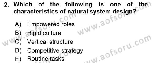 Organization Theory and Design Dersi 2024 - 2025 Yılı (Vize) Ara Sınav Soruları 2. Soru