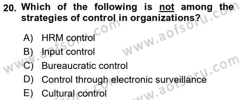 Organization Theory and Design Dersi 2024 - 2025 Yılı (Vize) Ara Sınav Soruları 20. Soru
