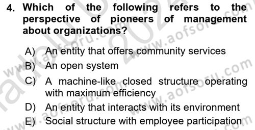 Organization Theory and Design Dersi 2024 - 2025 Yılı (Vize) Ara Sınav Soruları 4. Soru