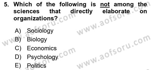Organization Theory and Design Dersi 2024 - 2025 Yılı (Vize) Ara Sınav Soruları 5. Soru