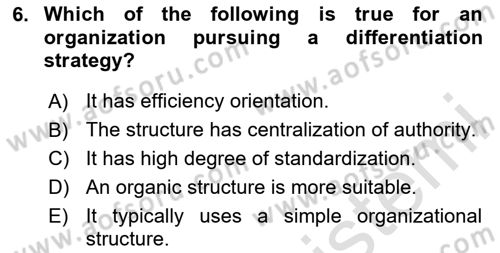 Organization Theory and Design Dersi 2024 - 2025 Yılı (Vize) Ara Sınav Soruları 6. Soru