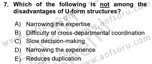 Organization Theory and Design Dersi 2024 - 2025 Yılı (Vize) Ara Sınav Soruları 7. Soru