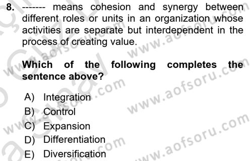 Organization Theory and Design Dersi 2024 - 2025 Yılı (Vize) Ara Sınav Soruları 8. Soru