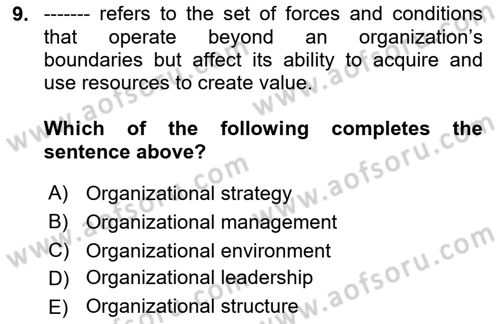 Organization Theory and Design Dersi 2024 - 2025 Yılı (Vize) Ara Sınav Soruları 9. Soru