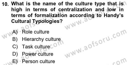 Organization Theory and Design Dersi 2024 - 2025 Yılı (Final) Dönem Sonu Sınav Soruları 10. Soru