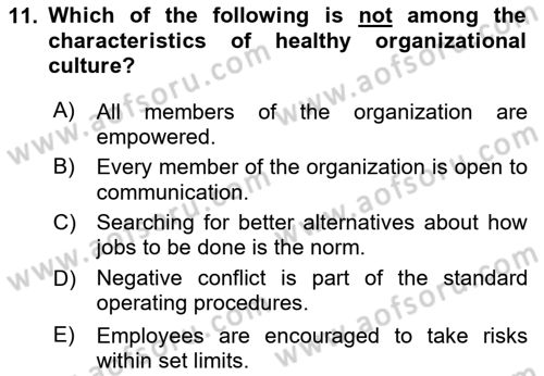Organization Theory and Design Dersi 2024 - 2025 Yılı (Final) Dönem Sonu Sınav Soruları 11. Soru
