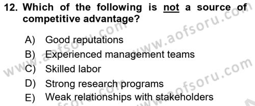 Organization Theory and Design Dersi 2024 - 2025 Yılı (Final) Dönem Sonu Sınav Soruları 12. Soru