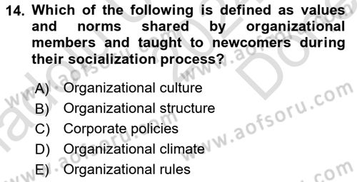 Organization Theory and Design Dersi 2024 - 2025 Yılı (Final) Dönem Sonu Sınav Soruları 14. Soru