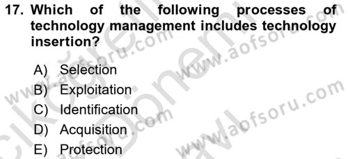 Organization Theory and Design Dersi 2024 - 2025 Yılı (Final) Dönem Sonu Sınav Soruları 17. Soru
