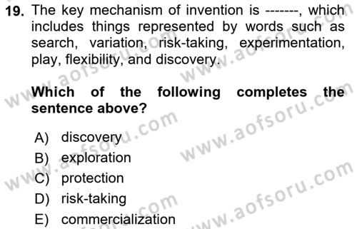Organization Theory and Design Dersi 2024 - 2025 Yılı (Final) Dönem Sonu Sınav Soruları 19. Soru