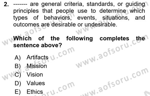 Organization Theory and Design Dersi 2024 - 2025 Yılı (Final) Dönem Sonu Sınav Soruları 2. Soru