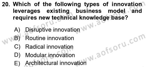 Organization Theory and Design Dersi 2024 - 2025 Yılı (Final) Dönem Sonu Sınav Soruları 20. Soru
