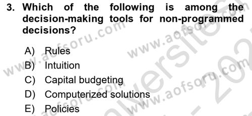 Organization Theory and Design Dersi 2024 - 2025 Yılı (Final) Dönem Sonu Sınav Soruları 3. Soru